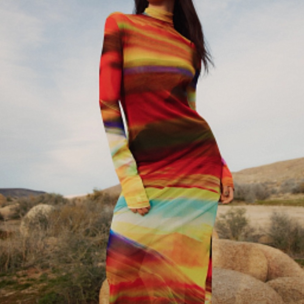 ISO: ZARA PRINTED TULLE DRESS 🔍